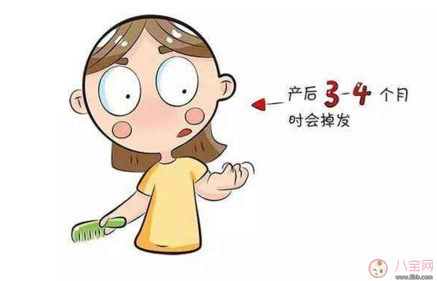 產(chǎn)后發(fā)際線脫發(fā)怎么辦 產(chǎn)后發(fā)際線怎么恢復