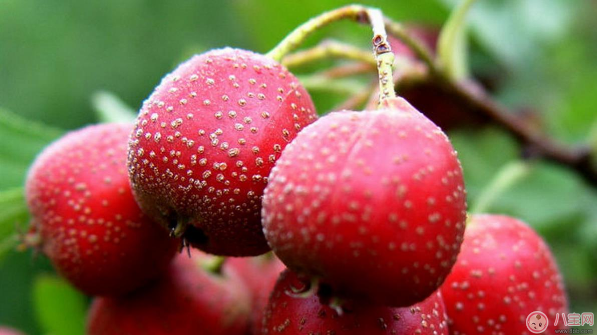 產(chǎn)后吃西瓜拉肚子難受不已 產(chǎn)后哪些東西不能吃