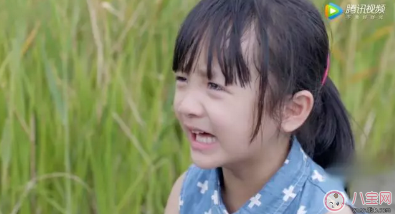 《美味奇緣》看了想睡覺！《美味奇緣》故事主線是什么？