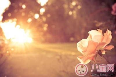 微博網易云里用爛了的評論 剖析為什么用爛了依舊戳心