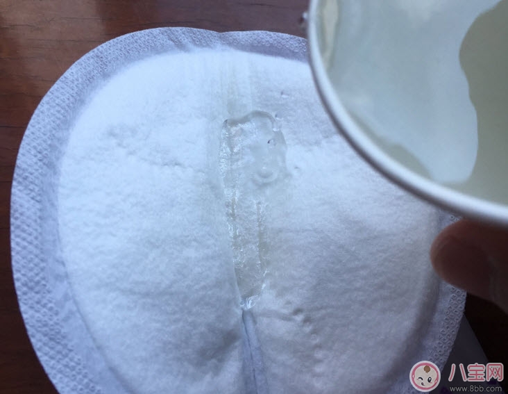 新安怡防溢乳墊怎么樣好用嗎 新安怡防溢乳墊吸水性測評使用