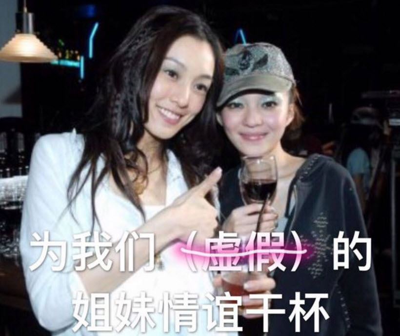 虛假的姐妹情誼表情包 友誼姐妹感情就像塑料花表情包無水印