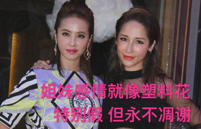 虛假的姐妹情誼表情包 友誼姐妹感情就像塑料花表情包無水印