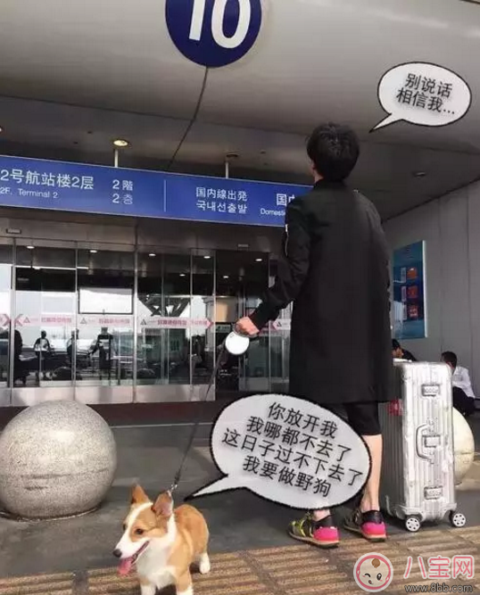 人生巔峰的薛之謙為什么把所有的一往情深都給了同一個人？