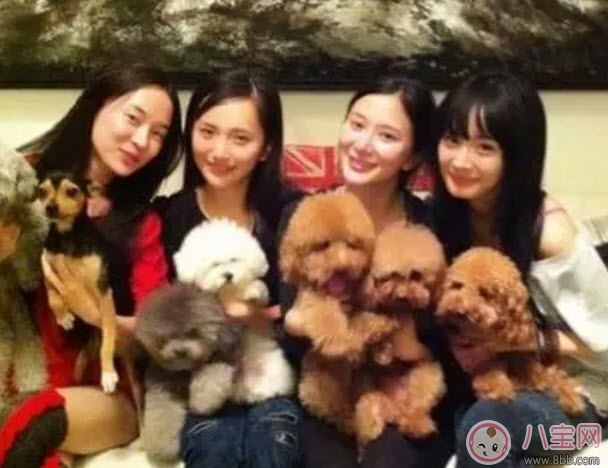 塑料姐妹花永遠(yuǎn)不分家?塑料花友誼什么意思 娛樂(lè)圈那些塑料花姐妹友誼