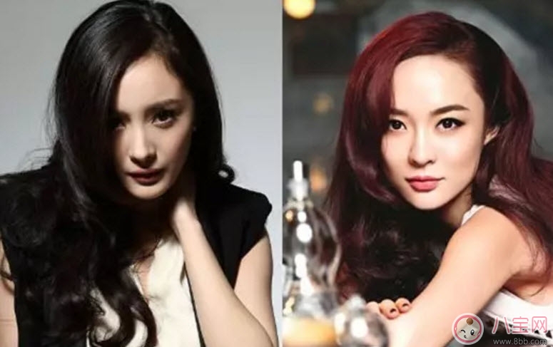 塑料姐妹花永遠(yuǎn)不分家?塑料花友誼什么意思 娛樂(lè)圈那些塑料花姐妹友誼