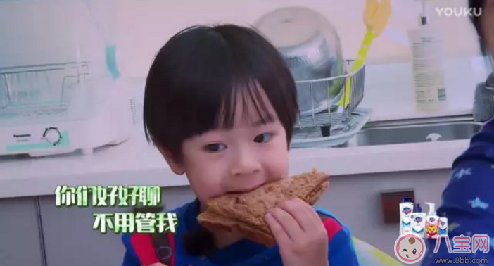 爸爸去哪兒5萌娃表現(xiàn) 哪位萌娃更讓你期待呢？