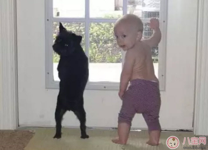 流浪狗咬傷小區(qū)業(yè)主孩子 孩子被狗咬傷怎么緊急處理傷口