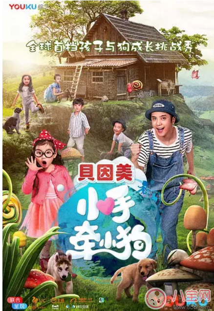 《小手牽小狗》羅志祥帶了幾位萌娃？阿拉蕾的表現(xiàn)怎么樣