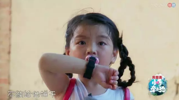 《小手牽小狗》羅志祥帶了幾位萌娃？阿拉蕾的表現(xiàn)怎么樣