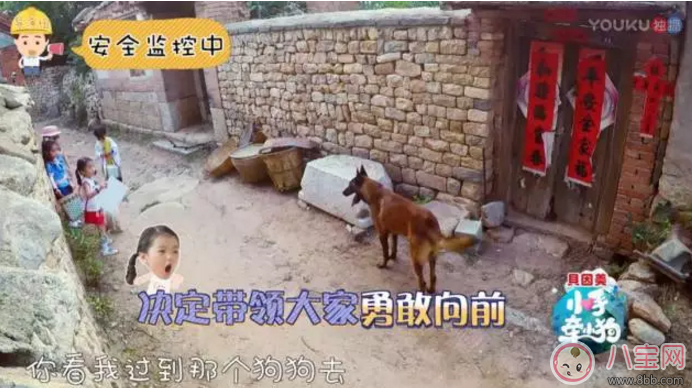 《小手牽小狗》羅志祥帶了幾位萌娃？阿拉蕾的表現(xiàn)怎么樣