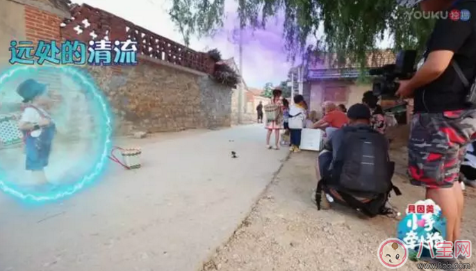 《小手牽小狗》羅志祥帶了幾位萌娃？阿拉蕾的表現(xiàn)怎么樣