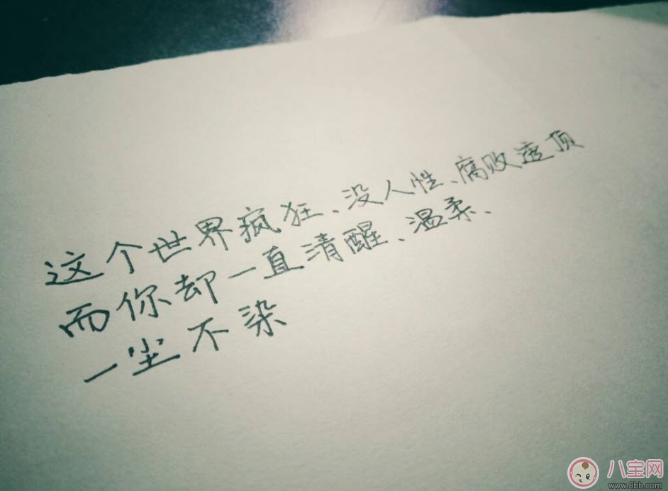 貓的情書溫清歡txt下載書包網(wǎng)全文閱讀 貓的情書在線閱讀完結版