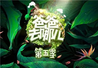 《爸爸去哪兒》周杰倫女兒干爹劉畊宏是嘉賓 能看到周杰倫嗎？