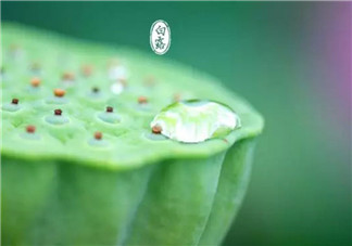 白露節(jié)氣怎么養(yǎng)生 白露時(shí)節(jié)有哪些飲食的禁忌