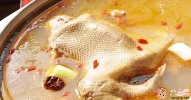 為什么秋季養(yǎng)生要吃鴨 秋天養(yǎng)生吃鴨有什么好處