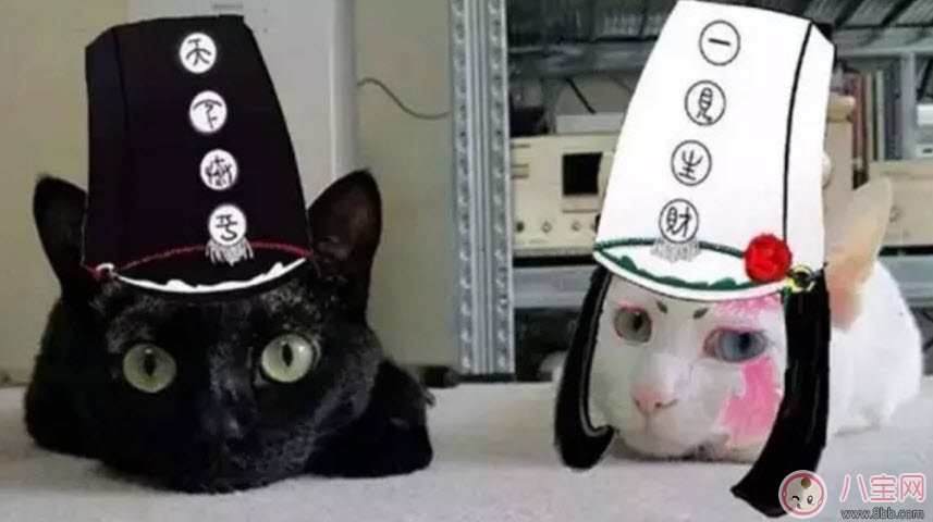 中元節(jié)給孩子講的鬼故事 中元節(jié)怎么給孩子解釋死亡