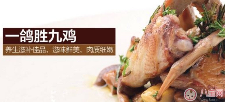 孕婦可以吃鴿子肉嗎 孕婦喝鴿子湯的營(yíng)養(yǎng)好處