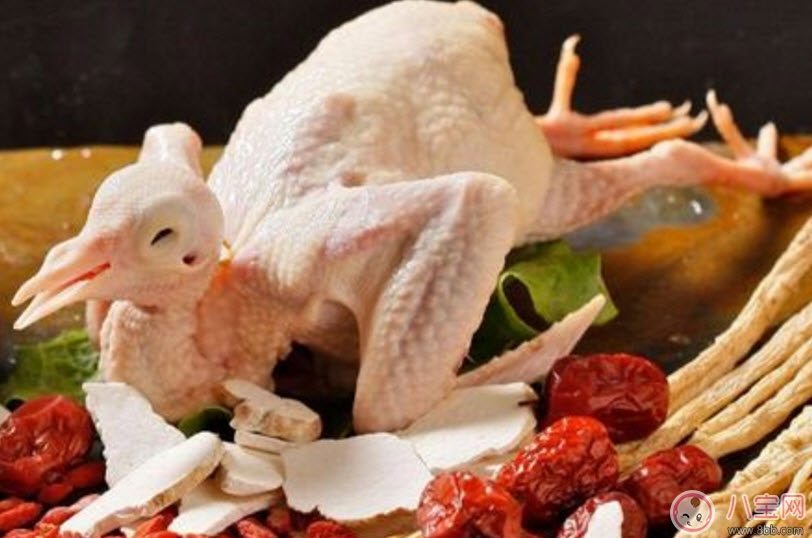 孕婦可以吃鴿子肉嗎 孕婦喝鴿子湯的營(yíng)養(yǎng)好處