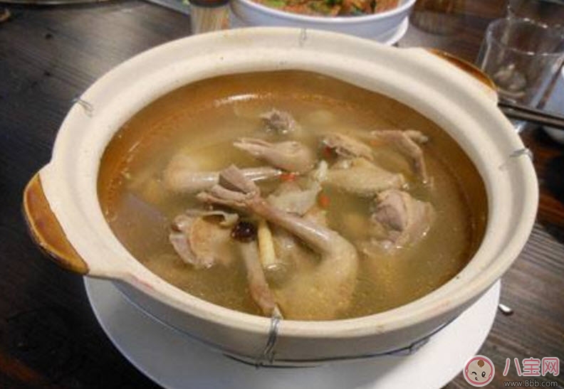 孕婦可以吃鴿子肉嗎 孕婦喝鴿子湯的營(yíng)養(yǎng)好處