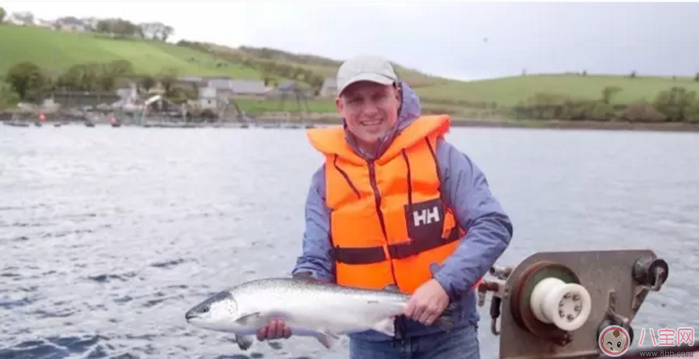 范瑋琪的寶寶也在吃 家佳樂課堂輔食寶寶口糧必囤