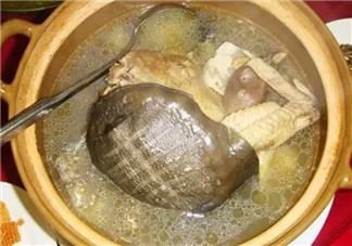 孕婦能喝清燉甲魚湯嗎 孕婦喝了甲魚湯怎么辦