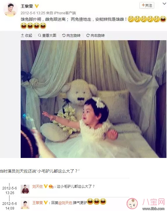 小包總楊爍兒子小毛驢照片 楊爍兒子小毛驢多大了 小包總楊爍兒子小毛驢照片 楊爍兒子小毛驢多大了