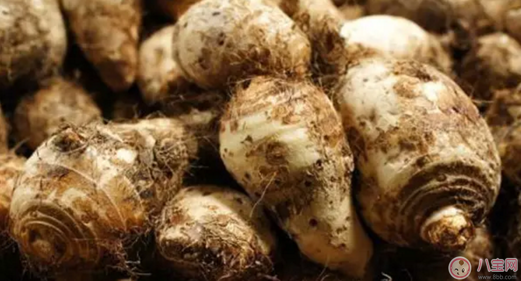 秋天大魚大肉不如吃點(diǎn)素 價(jià)格便宜功效更是趕超肉!