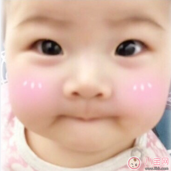 賀軍翔女兒基因強(qiáng)大 賀軍翔老婆是誰(shuí)