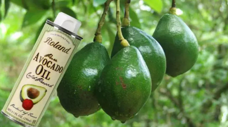 Roland 羅朗德核桃油&牛油果油 寶寶孕媽都愛(ài)吃的植物油