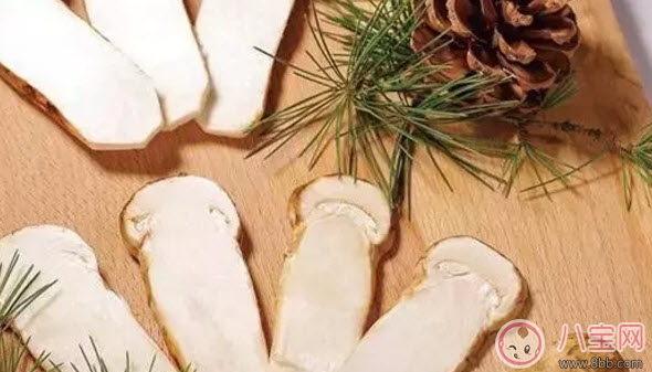 孕婦可以吃松茸嗎 適合孕婦的松茸做法