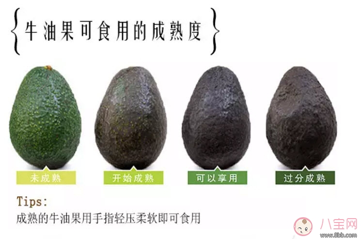 牛油果孕婦怎么吃最好 適合孕婦的牛油果食譜有哪些