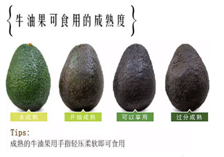 牛油果孕婦怎么吃最好 適合孕婦的牛油果食譜有哪些