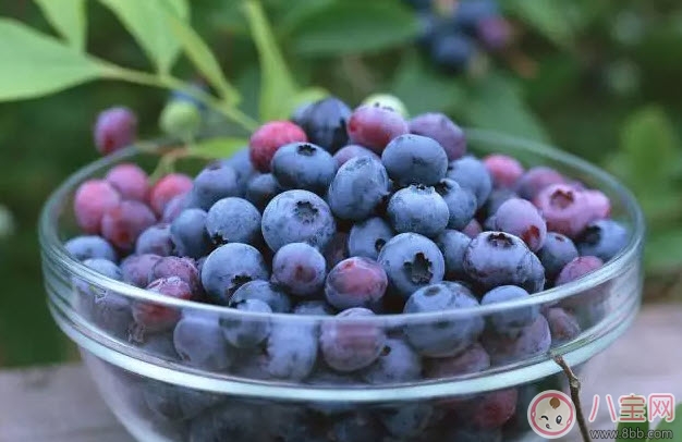 孕婦一天吃多少顆藍(lán)莓 孕婦吃藍(lán)莓怎么洗才干凈