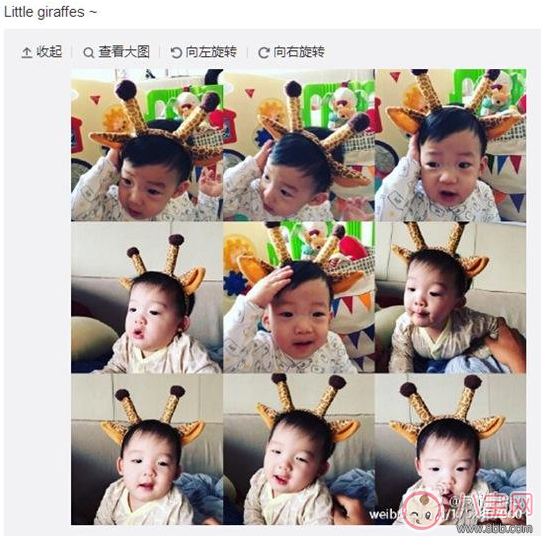 陳冠?，F(xiàn)身日本變曬娃狂魔 給孩子拍照怎么拍好