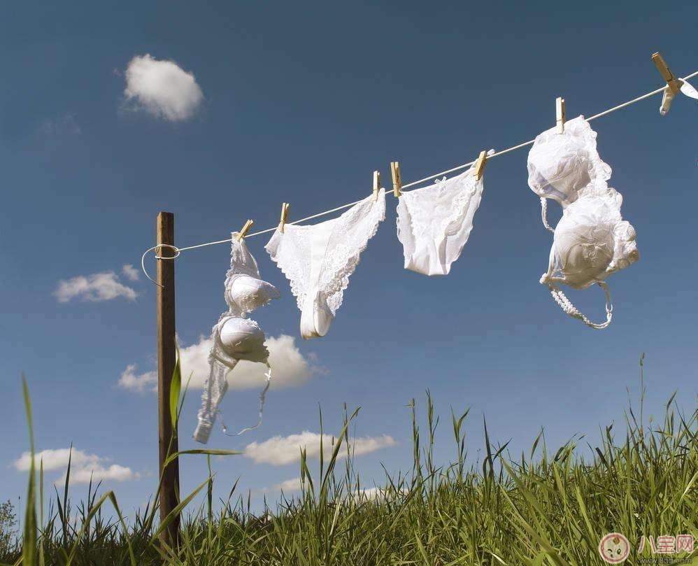 女性私處防護 內(nèi)褲挑選及清潔必看