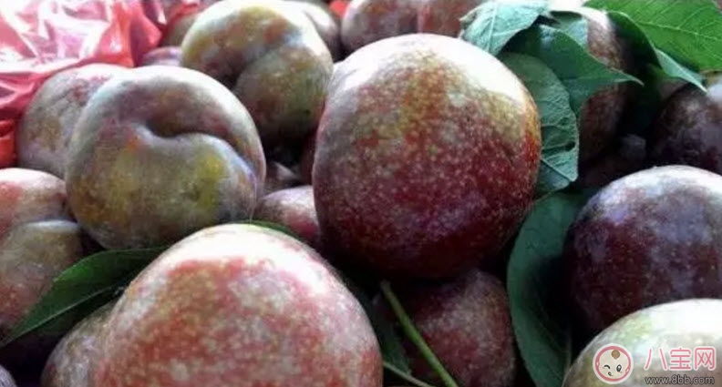 紅心李子孕婦可以吃嗎 孕婦最多能吃多少個紅李子