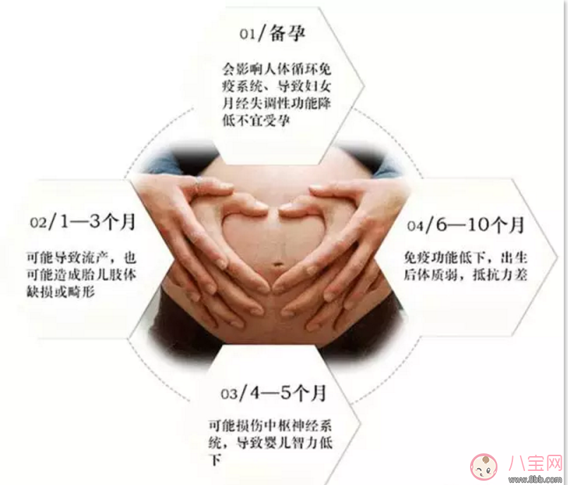 樂朵抗射線防輻射服 地鐵安檢全能防 適合所有孕媽和要備孕的妞們！