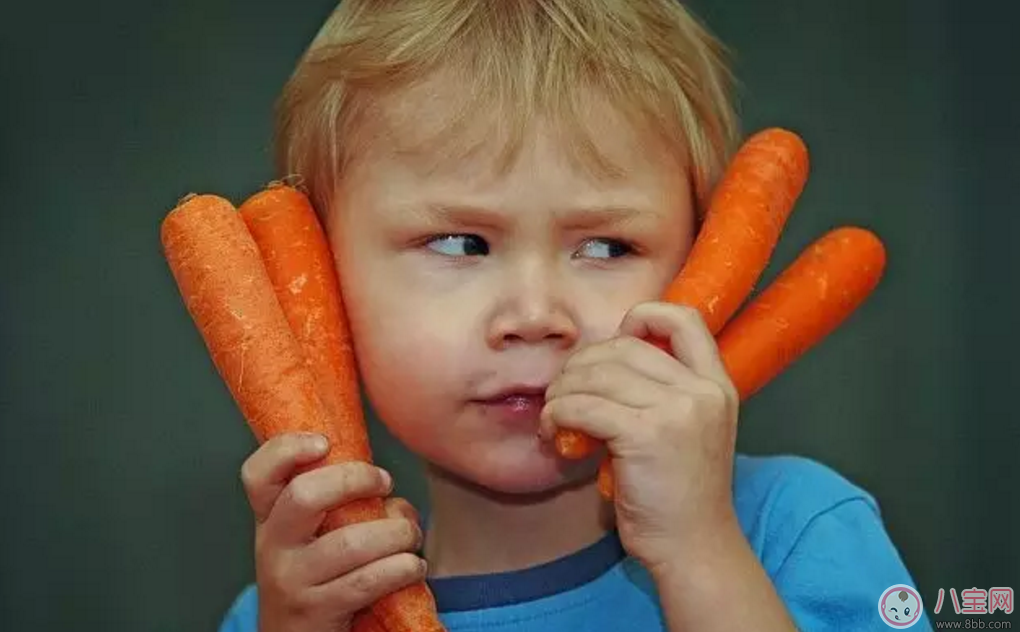 秋季寶寶飲食推薦   胡蘿卜營(yíng)養(yǎng)又美味