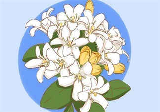 探望寶寶的送什么好 送孩子?xùn)|西這些要避開(kāi)