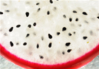 火龍果的籽寶寶能吃嗎 寶寶吃火龍果籽不消化怎么辦