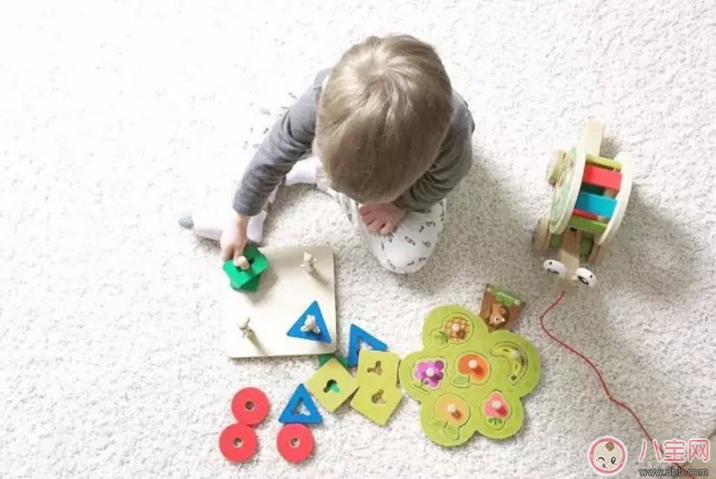 寶寶大腦發(fā)育需要幾種營養(yǎng) 影響寶寶腦部發(fā)育的六大飲食習(xí)慣有哪些 寶寶大腦發(fā)育需要幾種營養(yǎng) 影響寶寶腦部發(fā)育的六大飲食習(xí)慣有哪些