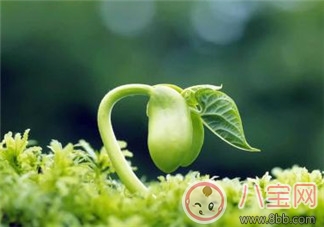 婆婆干涉教育孩子怎么辦 遵循原則解難題