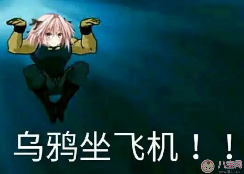 烏鴉坐飛機(jī)什么梗 阿福烏鴉坐飛機(jī)第幾集