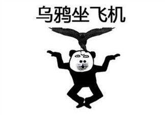 烏鴉坐飛機(jī)什么梗 阿福烏鴉坐飛機(jī)第幾集