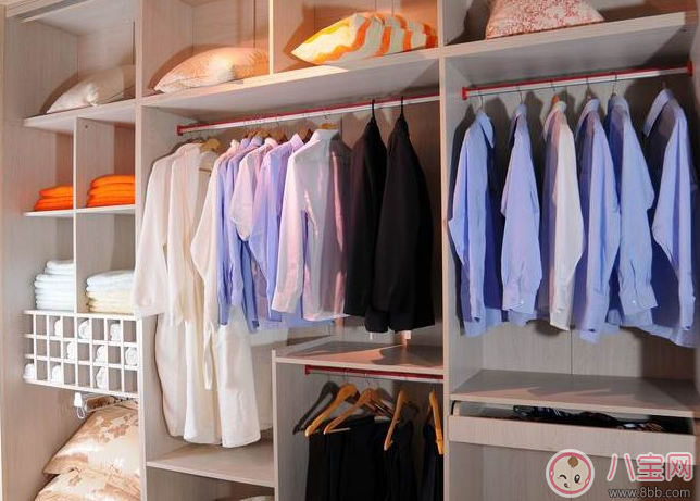 樟腦丸孕婦聞后致流產 家中秋季防霉、防蛀指南