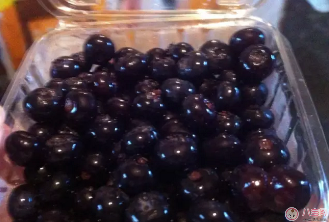 藍(lán)莓輔食營(yíng)養(yǎng)高 如何給寶寶吃