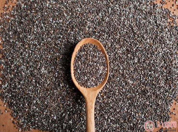 寶寶能吃奇亞籽嗎 奇亞籽多大的寶寶能吃(寶寶奇亞籽食譜)