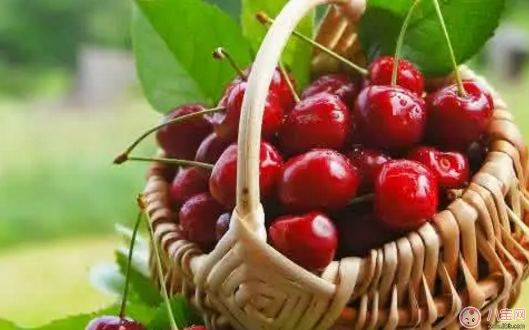 如何選擇寶寶零食 讓寶寶吃的更營養(yǎng)健康