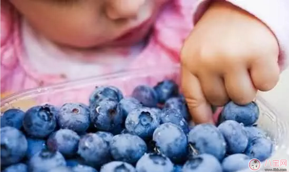 寶寶食用藍(lán)莓好處多 幫助骨骼生長(zhǎng)